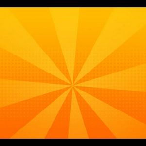 Meet your Posher, Ann